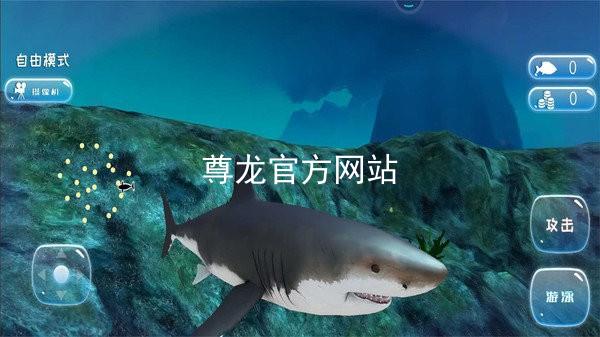 尊龙官方网站