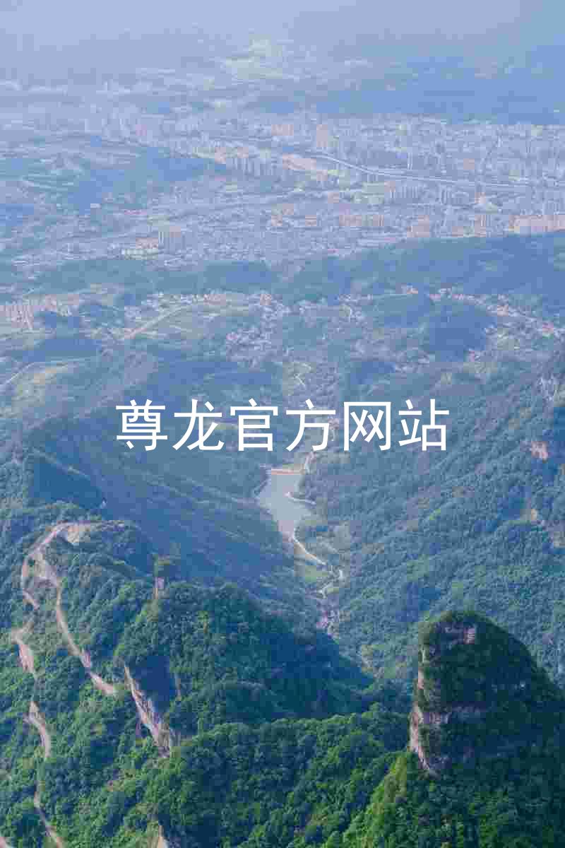 尊龙官方网站