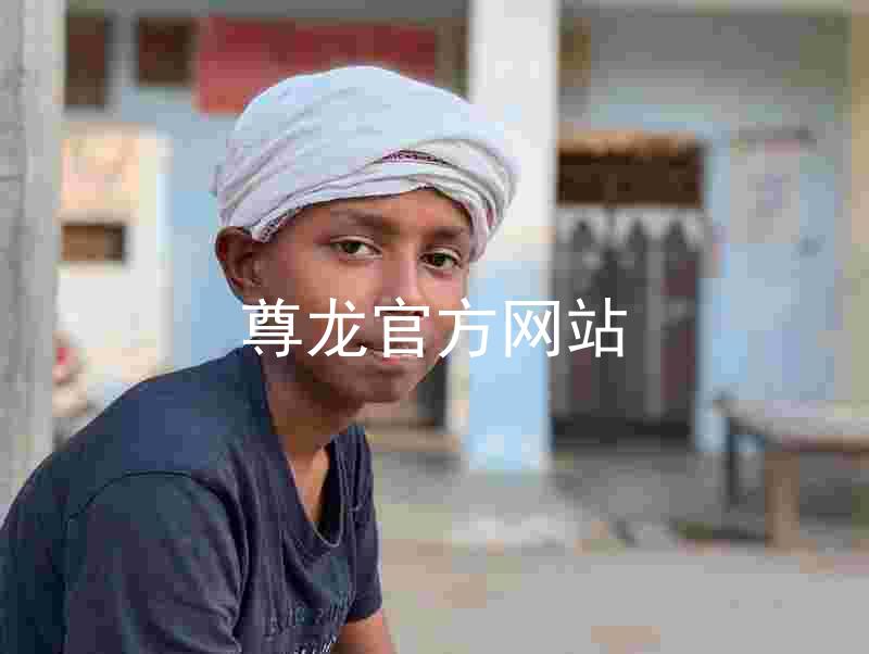 尊龙官方网站