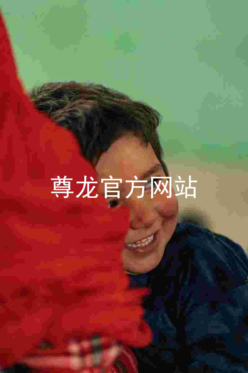 尊龙官方网站