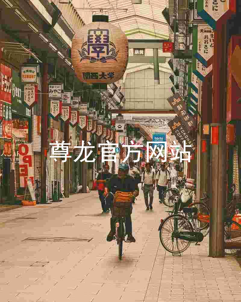 尊龙官方网站