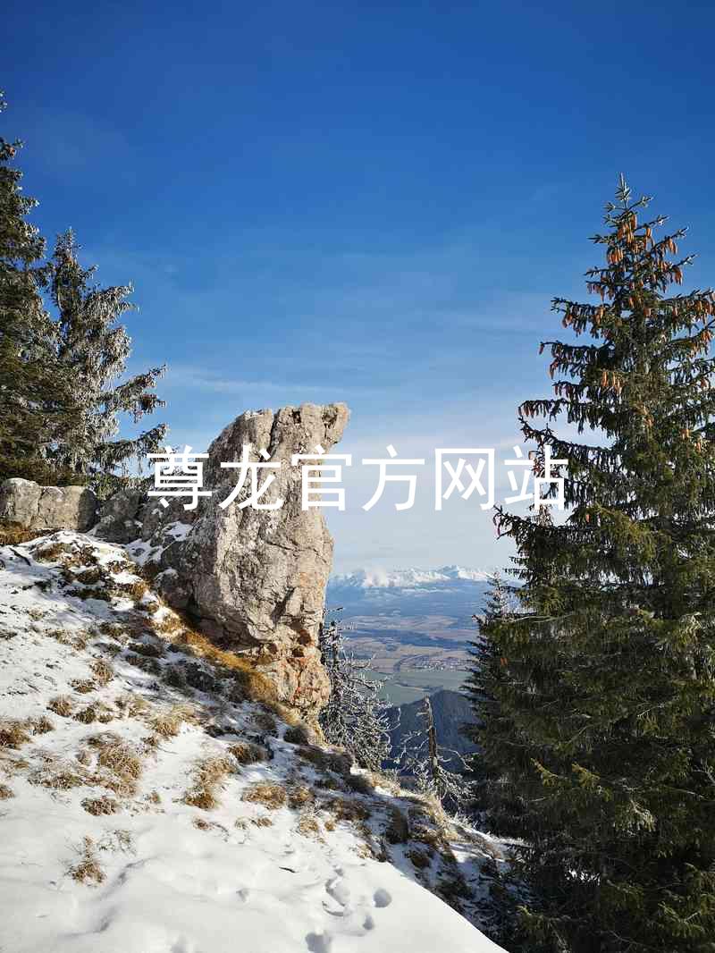 尊龙官方网站