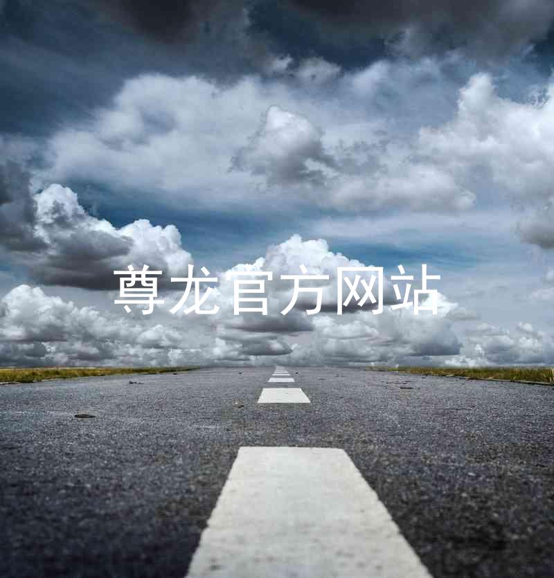 尊龙官方网站