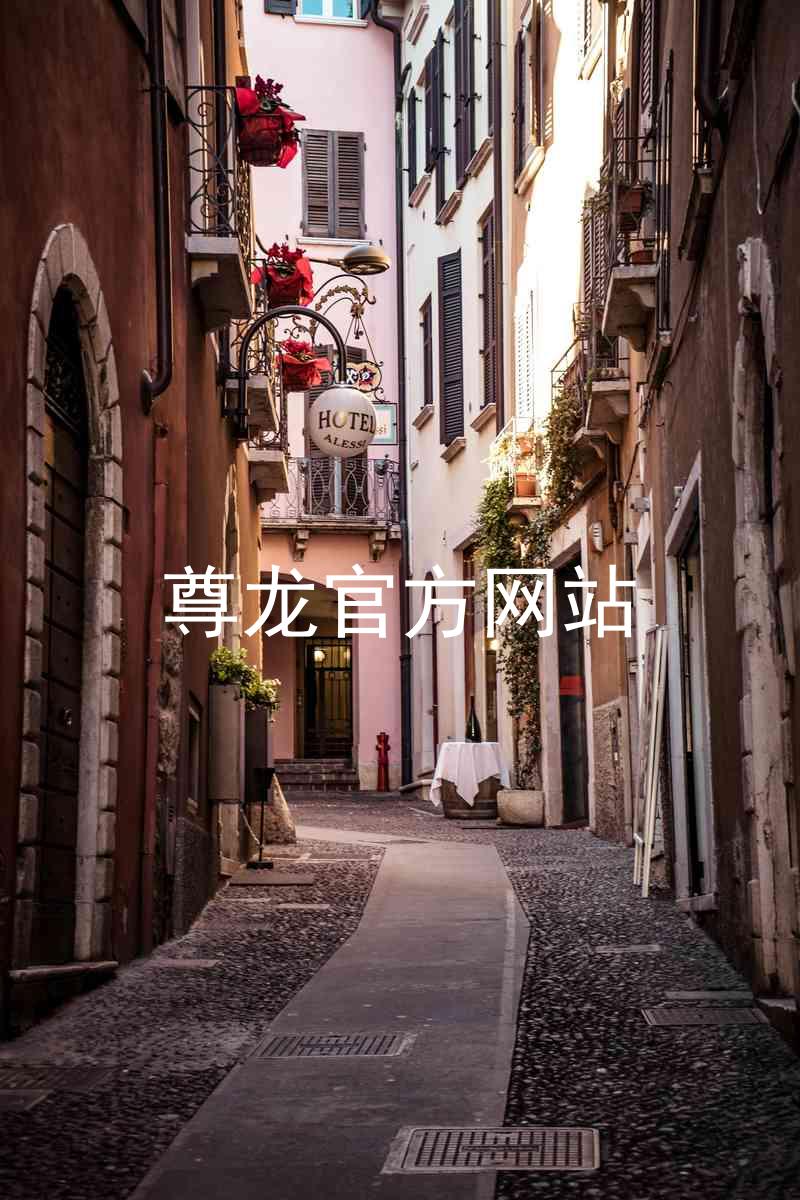 尊龙官方网站